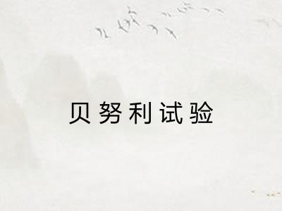 贝努利试验 贝努利试验