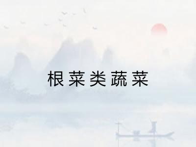 根菜类蔬菜 根菜类蔬菜