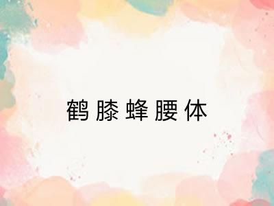 鹤膝蜂腰体 鹤膝蜂腰体