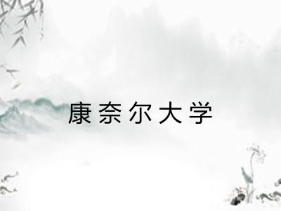 康奈尔大学