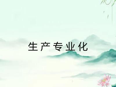 生产专业化 生产专业化