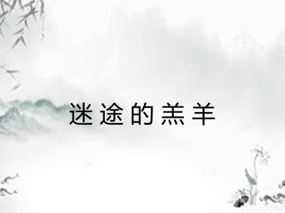 迷途的羔羊 迷途的羔羊