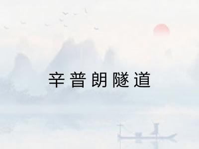 辛普朗隧道 辛普朗隧道
