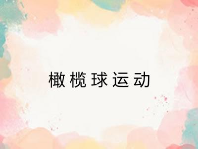 橄榄球运动 橄榄球运动