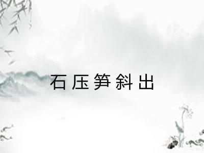 石压笋斜出 石压笋斜出