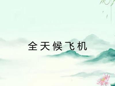 全天候飞机 全天候飞机