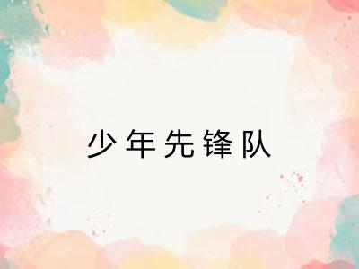 少年先锋队 少年先锋队