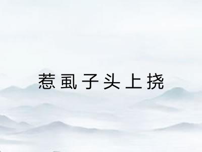 惹虱子头上挠