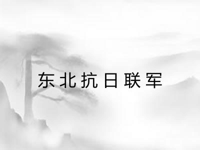 东北抗日联军 东北抗日联军