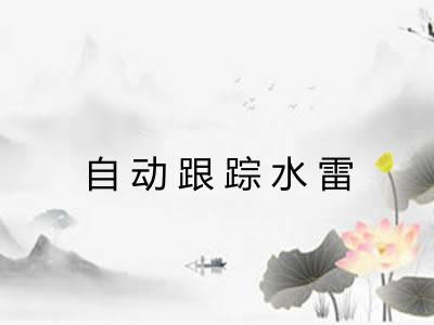 自动跟踪水雷 自动跟踪水雷