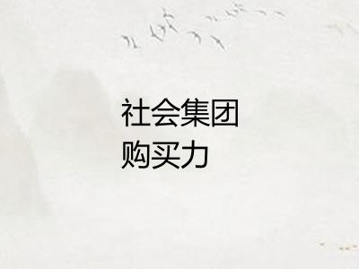 社会集团购买力 社会集团购买力