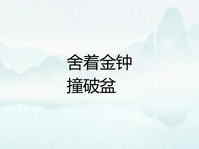 舍着金钟撞破盆