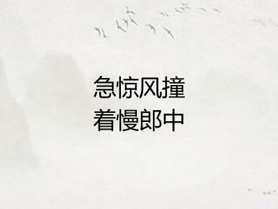 急惊风撞着慢郎中 急惊风撞着慢郎中