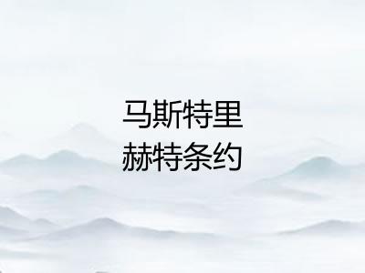 马斯特里赫特条约 马斯特里赫特条约