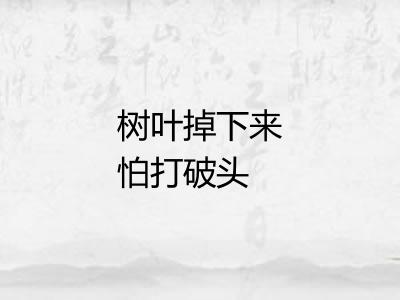 树叶掉下来怕打破头 树叶掉下来怕打破头