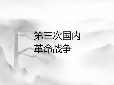 第三次国内革命战争 第三次国内革命战争